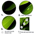 thumbnail image 3 of Designart "Stately Palm Silhouettes" Palms & Palm Trees Floater Framed Wall Art Prints, 3 of 5