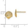 thumbnail image 4 of 14K Yellow Gold Scallop Shell Post Earrings - 7.8mm, 4 of 6