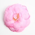 thumbnail image 3 of 10 Unidades Flor de simulación artificial BLESIY Camellia Cabeza de Flor 5.5 Cm Rosado, 3 of 8