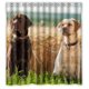 thumbnail image 1 of Cortina de Ducha Impermeable ABPHQTO Lindo Labrador Retriever 160x180 cm, 1 of 2
