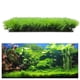 thumbnail image 5 of Césped acuático artificial con plantas verdes y agua, paisaje de acuario., 5 of 5