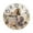 ZZNZ06120009, variant on Zhmjortal Peacock Pattern Wall Clock 10 Inch Battery Operated Wall Clock Non Ticking Silent Decorative Clock for Living Room Office Bedroom Home Decor