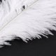 thumbnail image 4 of 40 Piezas Blanco Avestruz Natural Pluma 20-25cm Boda DIY, 4 of 5