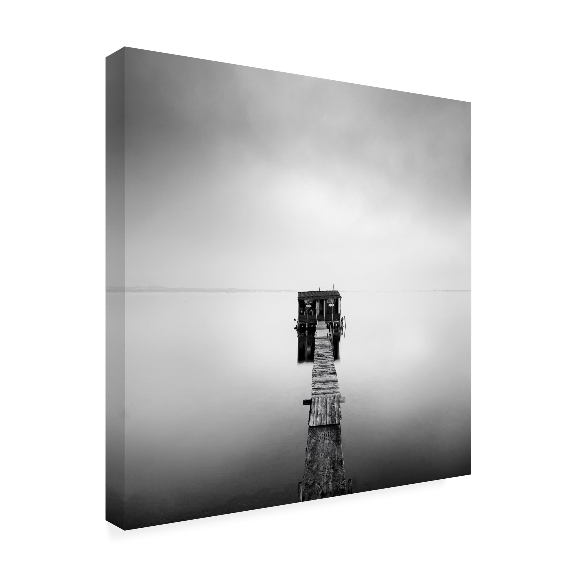 Canvas Wall Art - George Digalakis 'Axios Delta 039' Wall Art for Living Room, Bedroom, or Office D?cor by Trademark Fine Art - 14 x 14 Inches