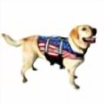 thumbnail image 2 of Pawz Pet Products Nylon Dog Life Jacket Small Flag, 2 of 3