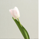 thumbnail image 1 of Nvzi 6 tulipanes artificiales, flores falsas, flores artificiales para decoración de bodas., 1 of 5