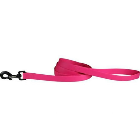 UPC: 0024764263587 | Leather Brothers 19148-RB 0.75 in. x 6 ft. Carnival Biothane Dog Lead Raspberry