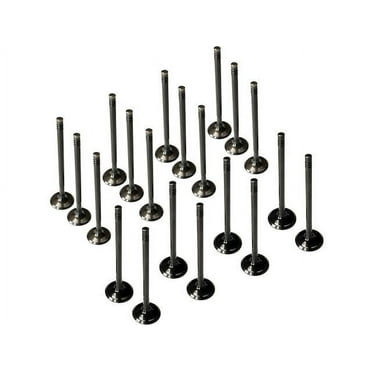 Exhaust Valve and Intake Valve Kit - Compatible with 1999 - 2005 Volkswagen Beetle 2000 2001 2002 2003 2004