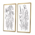 thumbnail image 3 of Designart "Minimalist Drawing Wildflowers on White IV" Wildflowers Framed Wall Art Set Of 2 - Traditional White Framed Canvas Set For Living Room Decor, 3 of 6