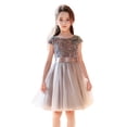 thumbnail image 3 of XEGLSBU Girls Dresses Size 8 Summer Elegant Girls Formal Dress for Piano Recital Pageant Performance and Party Gown Grey Size 16-17 Years, 3 of 9