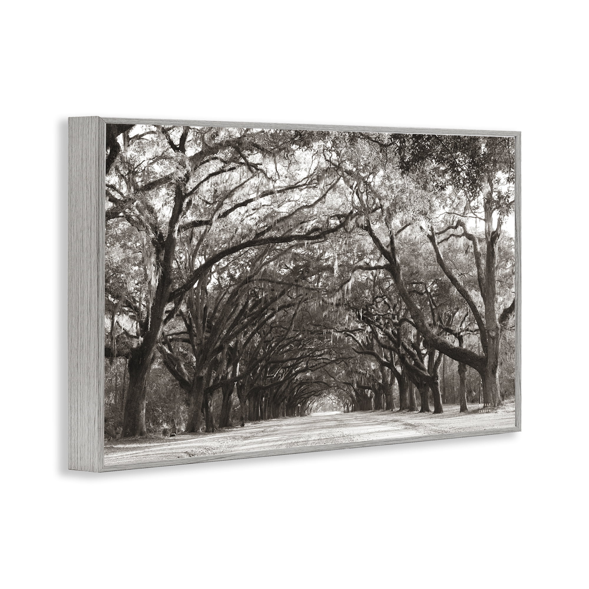Stupell Industries Georgia Stroll Tree Tunnel Gray Framed Giclee Art, design by Nathan Larson