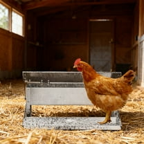 ZephyPaws Chicken Treadle Feeder,Metal Treadle Feeder,No Waste & Rodent Proof Chicken Feeder with Weatherproof Lid, Suitable for Bantams,Poultry,Pheasants,(10.6 x 17.7 x 7.9) in