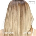 thumbnail image 6 of L'Oreal Paris EverPure Simply Clean Squeeze Conditioner, Color Protection, 8.5 OZ, 6 of 10