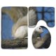thumbnail image 1 of ABPHQTO Ardilla Blanca Linda Juego de alfombras de baño de 3 piezas Alfombra de baño Alfombra de contorno y tapa de inodoro ABPHQTO Cont-CHAPPLE-31083, 1 of 2