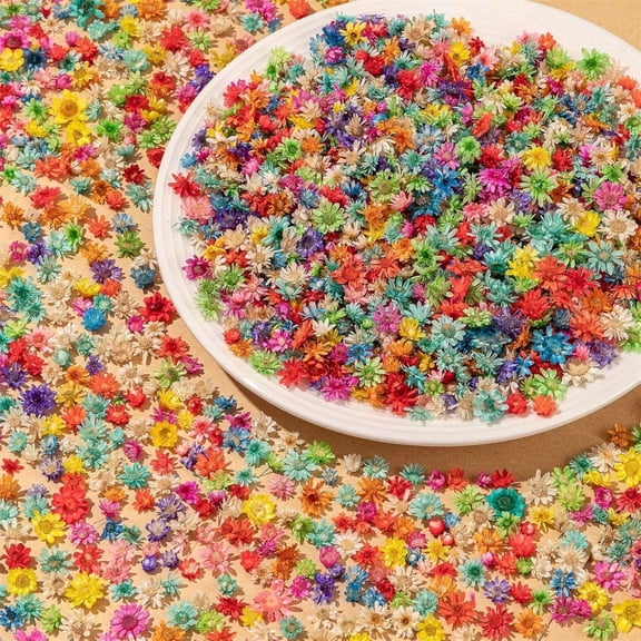 GIXUSIL 200 Pcs Small Dried Flowers for Crafts Resin, Tiny Dried Flowers for Nails, Natural Real Dried Pressed Flowers Bulk for DIY Jewelry Earrings Epoxy Molds, Candles Making, Soap Making