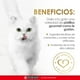 thumbnail image 3 of Alimento para Gato Purina Fancy Feast Casserole con Pollo y Pavo 85 g, 3 of 4