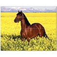 thumbnail image 1 of Horse Picture Ceramic Tile Mural Kitchen Backsplash Bathroom Shower, 405290-XL54, 1 of 9