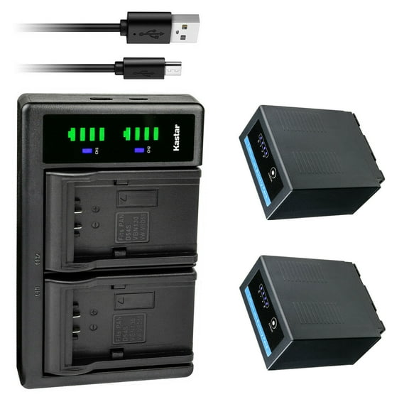 Kastar 2-Pack CGR-D54Pro Battery and LTD2 USB Charger Compatible with Panasonic AG-DVC60 AG-DVC60E, AG-DVC62, AG-DVC63, AG-DVC80 AG-DVC80P, AG-DVC180 AG-DVC180A, AG-DVX100, AG-DVX100A Camera