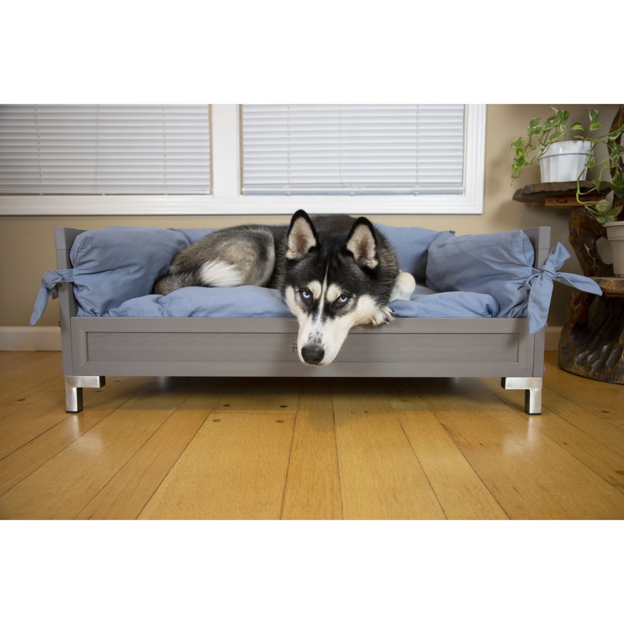 New Age Pet ECOFLEX® Manhattan Raised Dog Bed, Memory Foam Cushion in L or XL