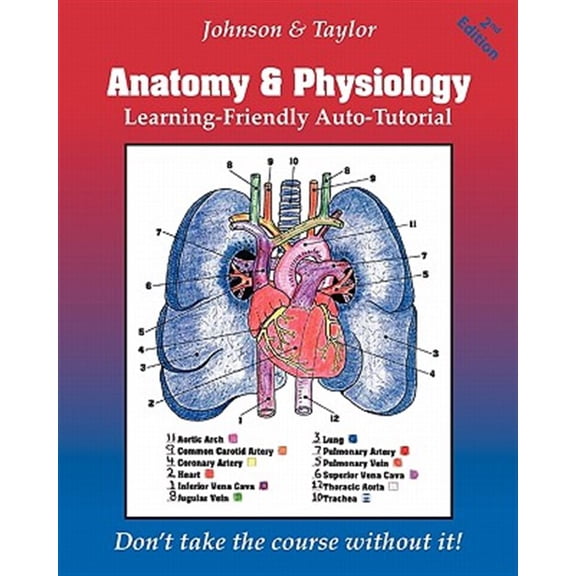 Pre-Owned Anatomy & Physiology Learning-Friendly Auto-Tutorial