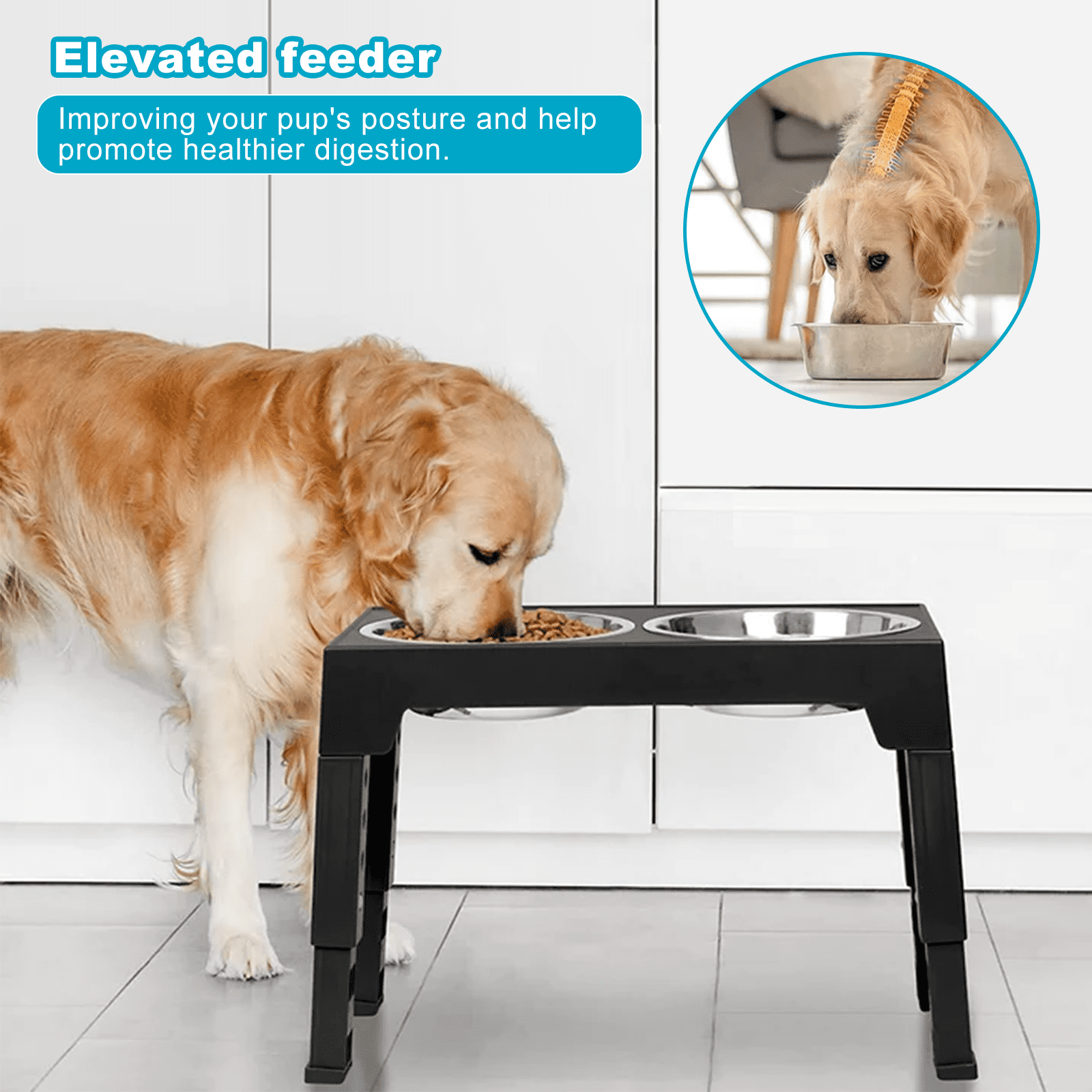 Height of dog bowl cheap
