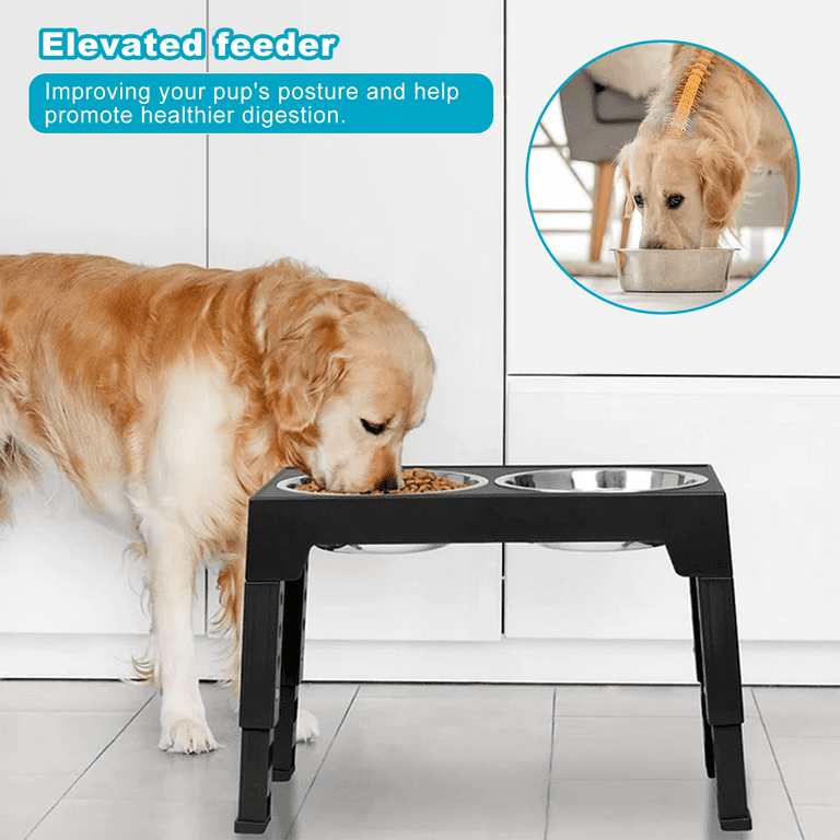 Elevated Dog Bowls 5 Adjustable Heights Raised Dog Food Water Bowl with  Slow Feeder Bowl Standing Dog Bowl for Medium Large Dogs