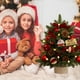 thumbnail image 3 of Árbol de Navidad Pequeño Árbol de Navidad de Escritorio Decoraciones de Árbol de Navidad, 3 of 6