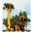 thumbnail image 3 of Ambesonne Exotic Shower Curtain, Tropical Baobabs, 69"Wx84"L, Pale Blue Ginger, 3 of 3