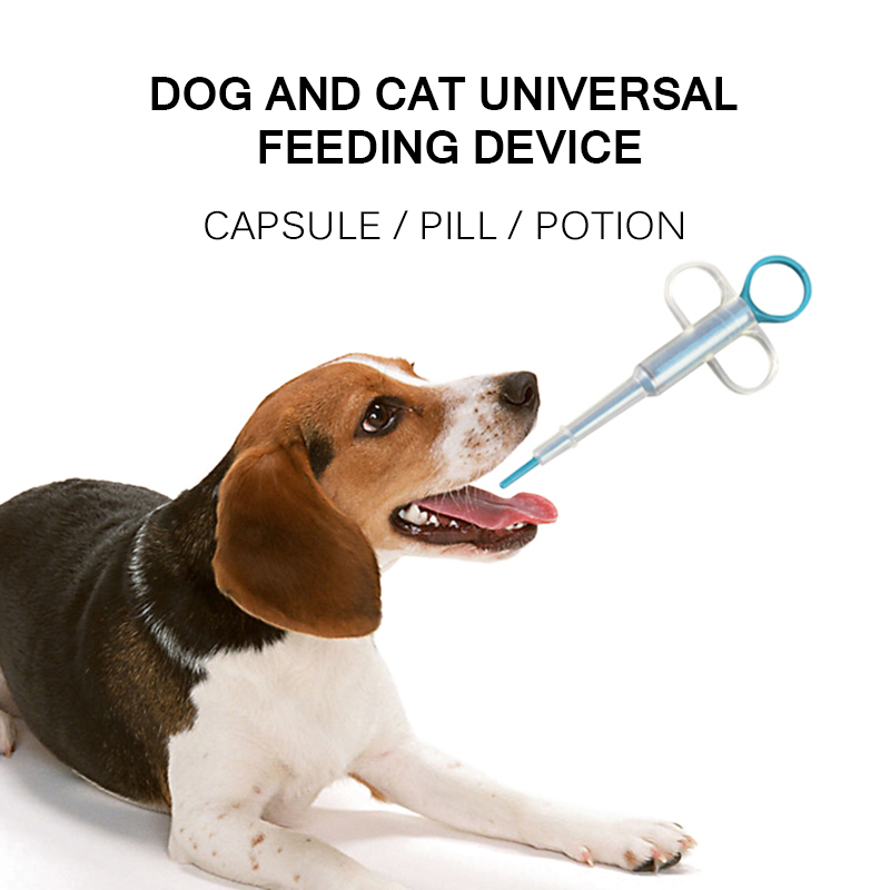 dog medicine syringe