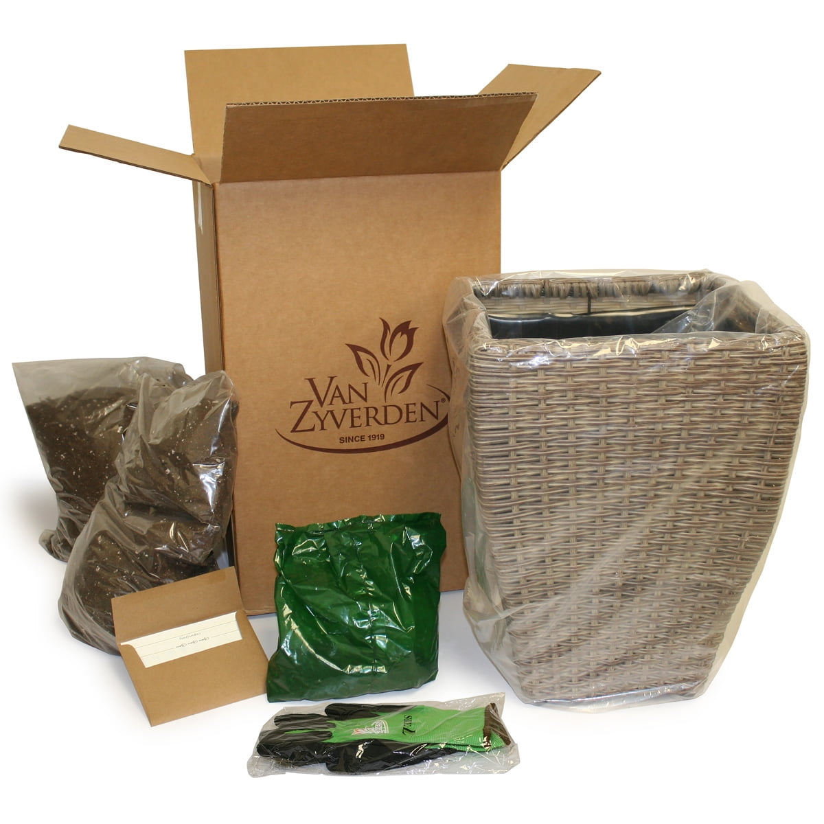 Van Zyverden Canna Angel Martin Patio Kit with Decorative Rattan Planter Planting Medium and 3 Roots Orange Full Sun Annual Deer Resistant