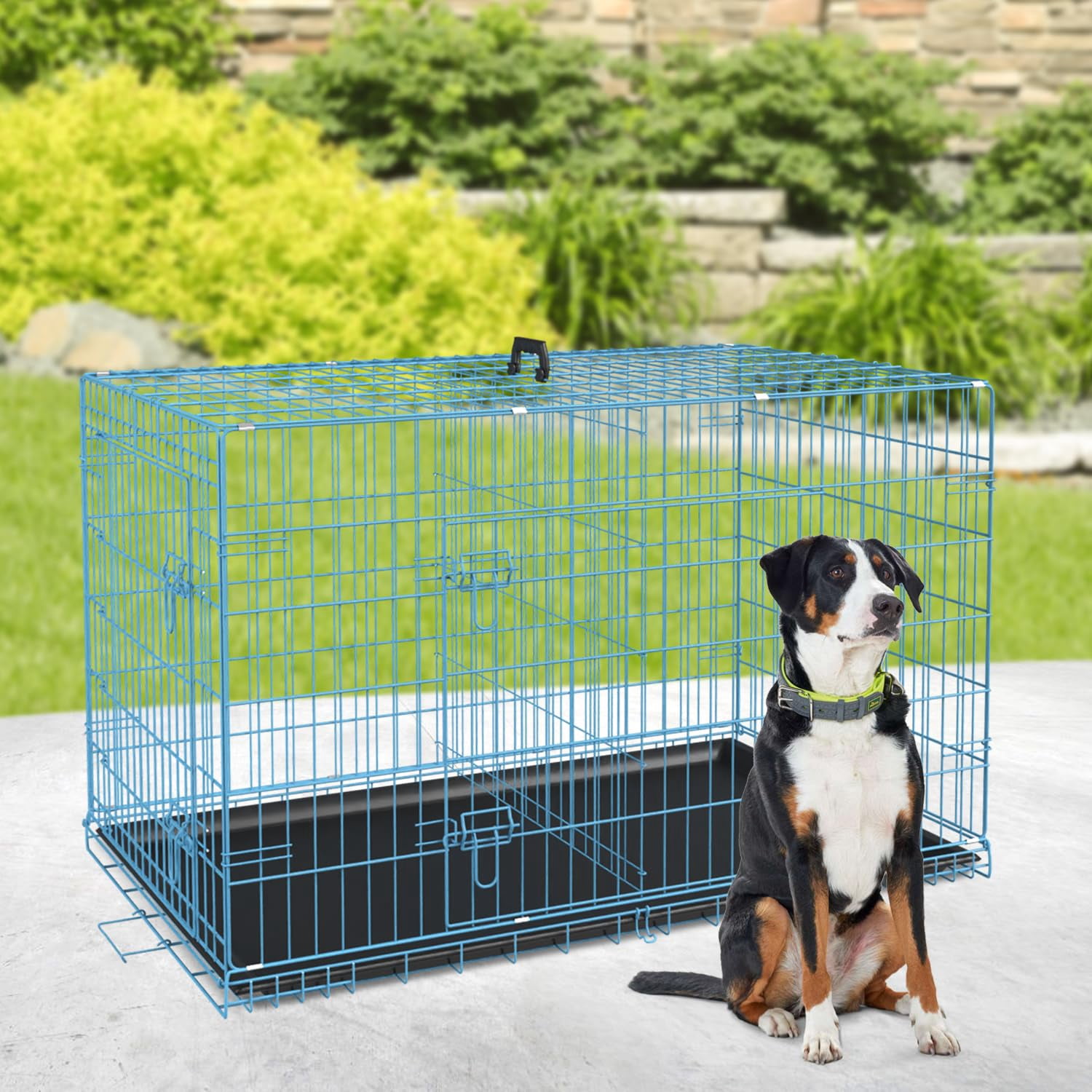 XF XINFENG 36 inch Dog Cage for Medium Breeds Folding Metal Wire Dog Crate with Double Door,Leakproof Tray for Indoor Outdoor ,Blue