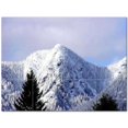 thumbnail image 1 of Winter Photo Ceramic Tile Mural Kitchen Backsplash Bathroom Shower 406384-XL43, 1 of 3