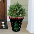 thumbnail image 2 of Briarwood Lane Checkered Trees Large Planter, 2 of 3