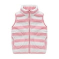 thumbnail image 2 of FAIWAD Toddler Boy Girl Striped Fleece Vest Sleeveless Jacket Fall Winter Zip Stand Collar Coat with Pocket, 2 of 9