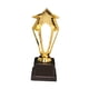 thumbnail image 5 of Trofeos dorados para niños, trofeos pequeños, decoración, trofeo, trofeo estrella, 275 cm de alto, 5 of 6