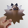thumbnail image 1 of Perro animal habitacion piso foto Calcomanías solares de vinilo, 1 of 3