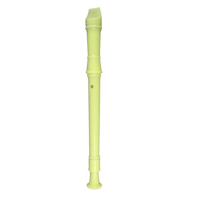 Versatile Recorder Instrument For Kids And Beginners, Compact And Lightweight ABS Clarinet Flute With Fingering Chart And Cleaning Kit