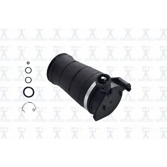 Focus Auto Parts Air Spring