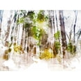 thumbnail image 3 of Young, Chamira 14x12 Black Modern Framed Museum Art Print Titled - Forest Road II, 3 of 5