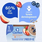 (2 pack) Gerber 2nd Foods Fruit & Cereal Puree Favorites Baby Food, Variety Pack, 4 oz Tubs (32 Pack)