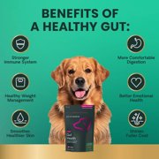 VetriScience Gut Health Probiotic Soft Chews for Dogs, Duck Flavor, 30 Count Bag
