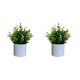 thumbnail image 2 of Bearachild 4 paquetes/lote fácil de limpiar planta falsa solución de bajo mantenimiento para plantas artificiales de interior bonsái de hojas Type1 NO1, 2 of 6