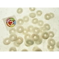 thumbnail image 4 of Lifesavers 16oz Orange Mint Hard Candy Individually wrapped 1lb One Pound, 4 of 4