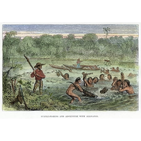 Henry Walter Bates N(1825-1892) At Left Holding A Club Watching Amazonian Native Indians Capturing Turtles And A Cayman Wood Engraving From Bates The Naturalist On The River Amazons 1863 Poster Print