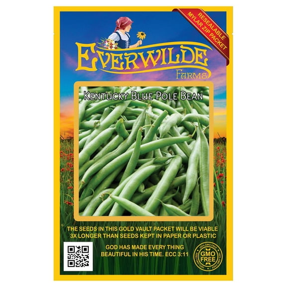 Everwilde Farms - 50 Kentucky Blue Pole Bean Seeds - Gold Vault Jumbo Bulk Seed Packet