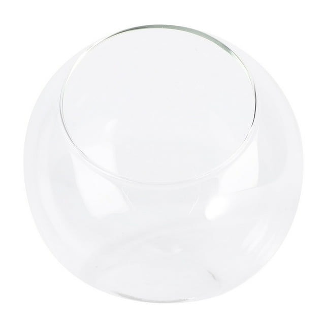 NUOLUX Terrarium Glass Vase Bowl Planter Air Globepot Bubble Cut Slant ...