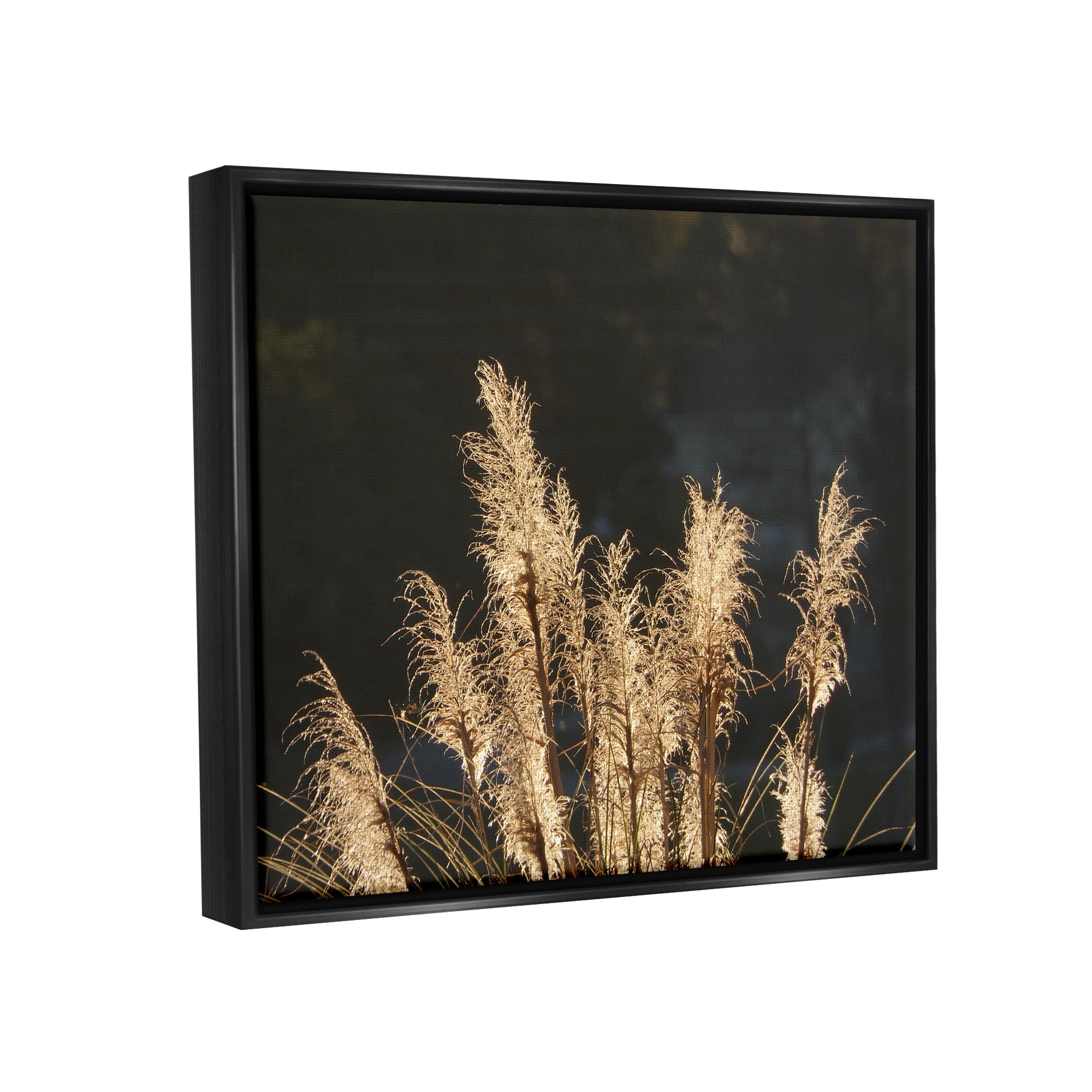 Stupell Industries Moonlit Pampas Grass Rural Reeds Plant Botanicals Photograph Metallic Gold Floating Framed Canvas Print Wall Art, Design by Gail Peck