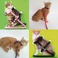 thumbnail image 3 of HEVIRGO Adjustable Nylon Cat Puppy Pet Harness Collar Lead Leash Traction Safety Rope,Black, 3 of 9