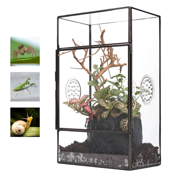 NCYP Glass Enclosure for Large Jumping Spider - 5.1" x 3.9" x 9" Front Opening Door Glass Plants Terrarium with 3 Vent Holes, Small Rectangle Insects Habitat, Black (Terrarium Only)