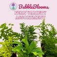 thumbnail image 2 of BubbleBlooms Fern Variety Assortment, 6 Different Plants, Variety Bundle- 2 Inch Pots, 2 of 9